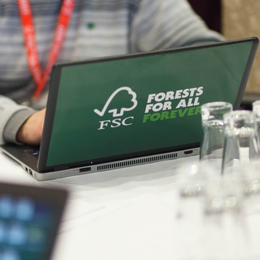  Man on laptop with FSC logo and slogan 