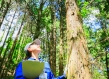 Woman holding a clipboard touching a tree