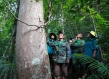Foresters touch a tree trunk