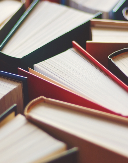 Multicolored books
