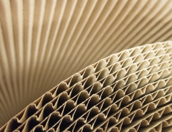 close shot or cardboard corrugate