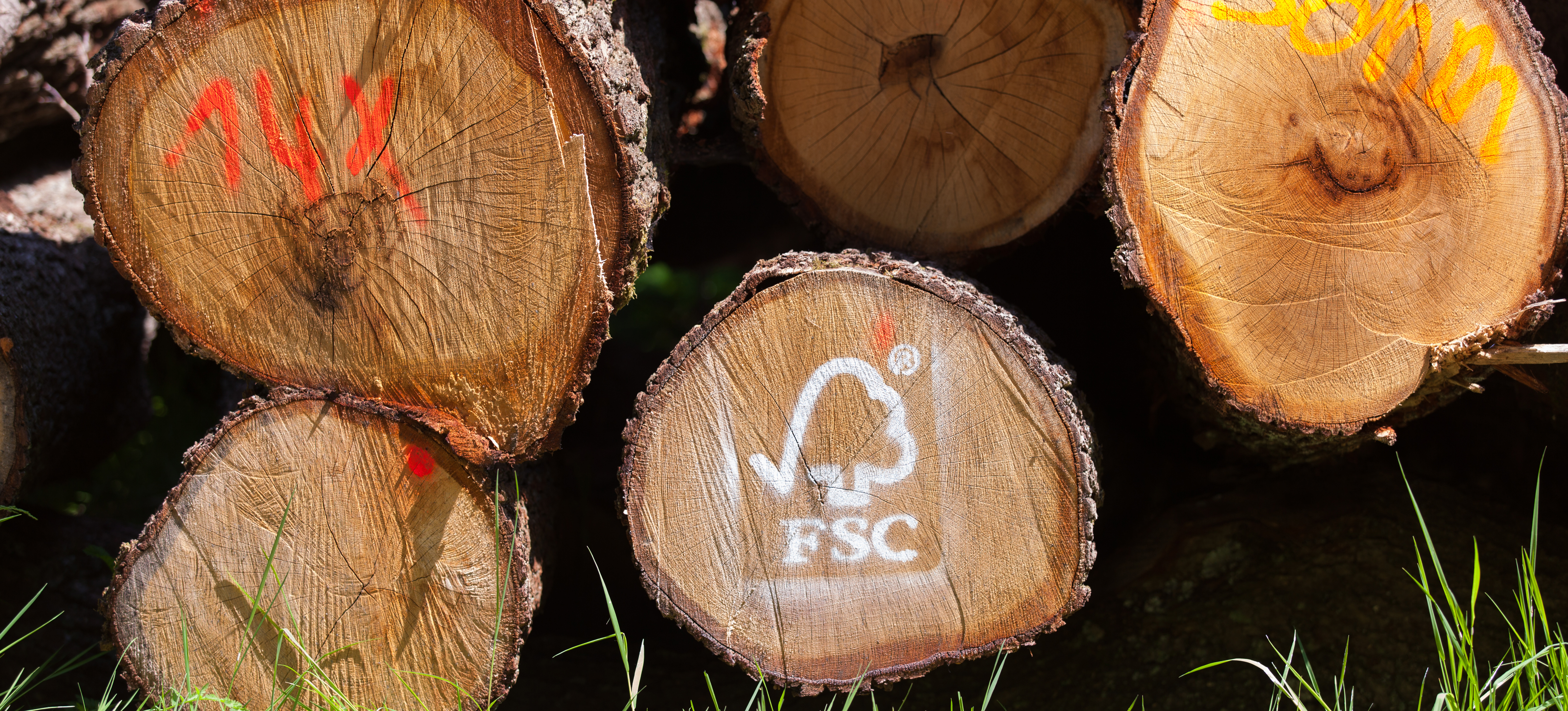  © FSC Germany / Stefan-Lechner