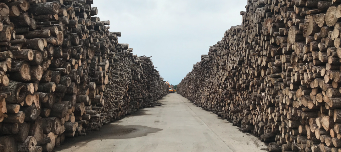 Stacks of logs