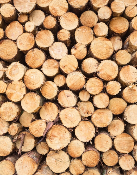 Stack of logs