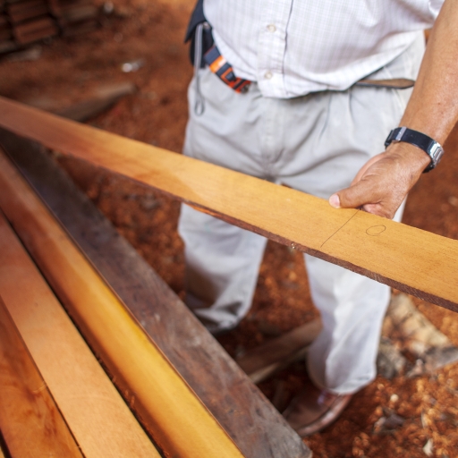 Man holding a wood plank