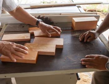 Close shot of workers choosing  timber samples  