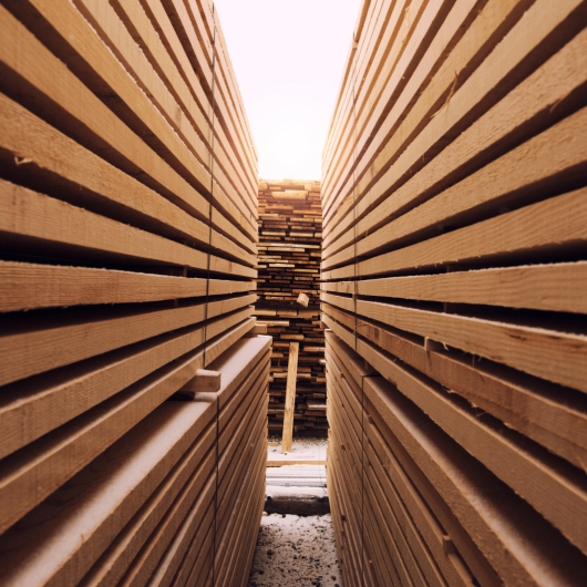 Stacks of wood planks