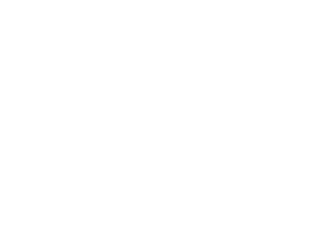 Birla Cellulose logo