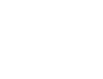 Essity Logo