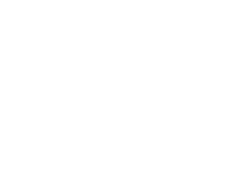 Pirelli Logo