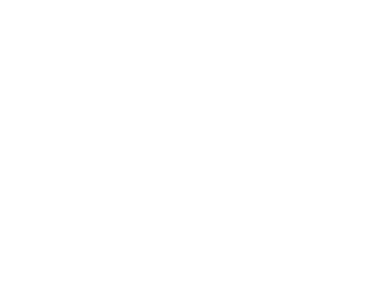 SIG logo