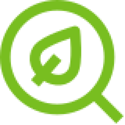 magnifying glass icon
