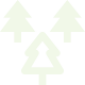 Three trees icon