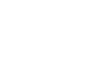 Woolworths Group Logo